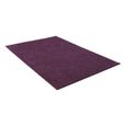 Tapis de Salon Shaggy 115x170cm, OHIO - Aubergine / Violet - Carpet Studio-0