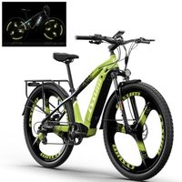 VTT électrique 500w, 29" vélo électrique adulte, Batterie 48V 14Ah, portée d'environ 80km, frein à disque hydraulique, M520 Vert