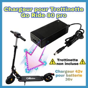 PIECES DETACHEES TROTTINETTE ELECTRIQUE Chargeur 42v Go Ride 80 pro / night pour trottinet