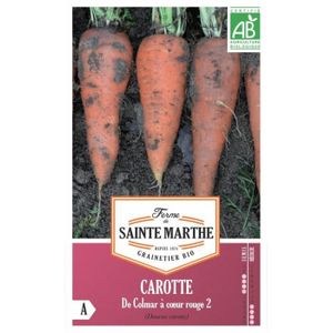 graines de carottes en ruban cdiscount