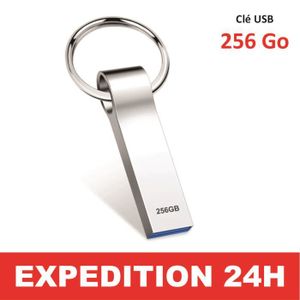CLÉ USB Clé USB 256 Go Grand Capacité Clé USB 3.0 Imperméa