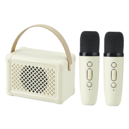 Machine à karaoké pour enfants et adultes, mini haut-parleur Bluetooth  portable avec 2 microphones sans fil, lumières LED pour la télévision, fête  à