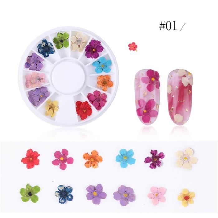 vernis à ongle Nail Nail fleur sèche étoile tournesol jonquille cinq pétales petite fleur sèche wes4800