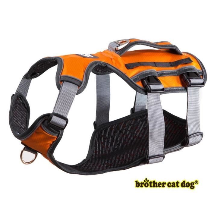 Laisses Colliers,Harnais de chien réfléchissant de haute qualité Gilet d'entraînement pour chiens d'animaux - Type orange 8816-XL