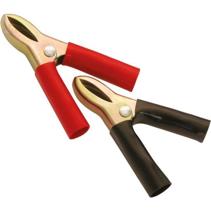 2 pinces remplacement cable de demarrage 50 Amp