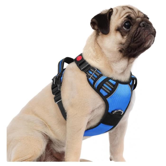 Meilleurs prix pour rabbitgoo Harnais Chien Anti Traction avec 3 boucles pour Chien Facile à Mettre Harnais Réfléchissant Réglable pour Chien Bleu S