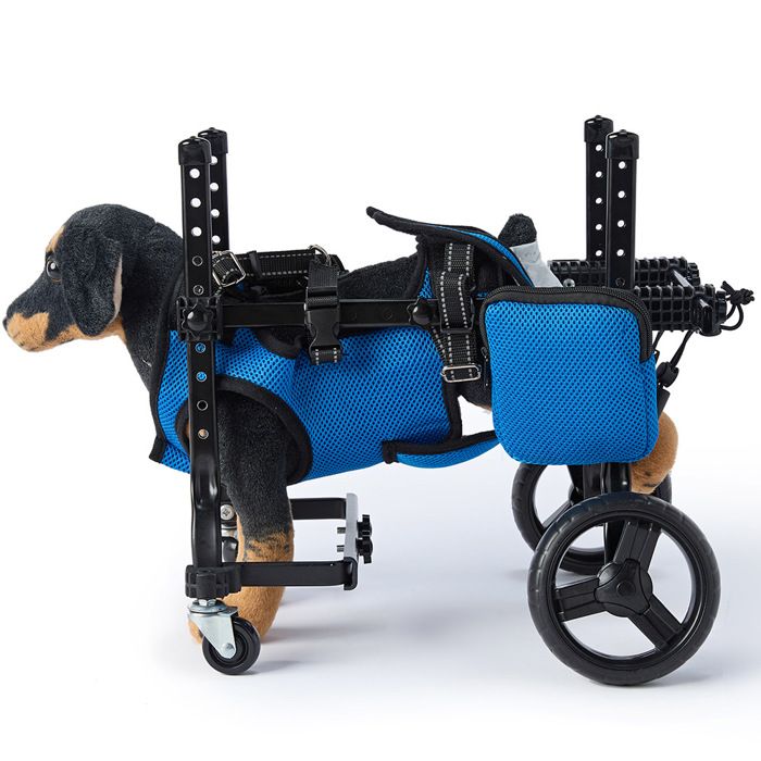 Bleu Chariot roulant pour chien handicapé fauteuil rééducation aide mobilité quatre roues pattes cassées récupération
