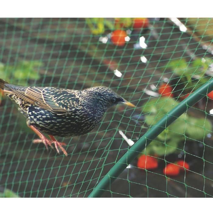 Comparer les prix de Filet de protection oiseaux - Nortene jardin - Birdnet - 10m x 5m - Plastique