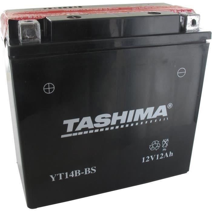 Batterie plomb étanche TASHIMA YT14BBS 12V AGM 12A Greenstar