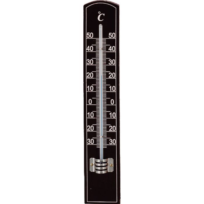 Star Thermometre De Chambre 8111 Achat Vente Thermometre