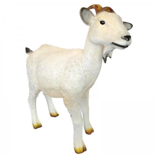 Statue chèvre blanche en résine 80 cm H, 80 x L, 80 x l, 30 cm