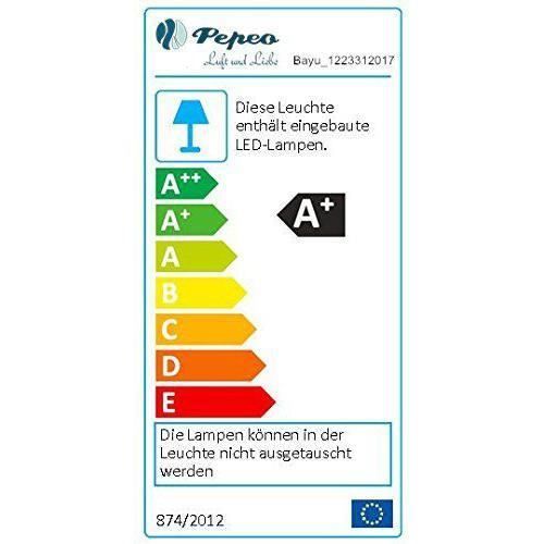 Pepeo Ventilateur de plafond à économie d`énergie Bayu avec éclairage LED dimmable Télécommande incluse 122 cm - 1223312017 - Pepeo