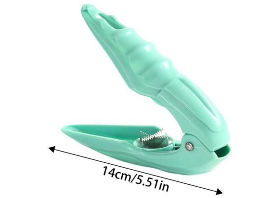 Casse-noix,ouvreur De Châtaignes, Support De Châtaignes En Acier