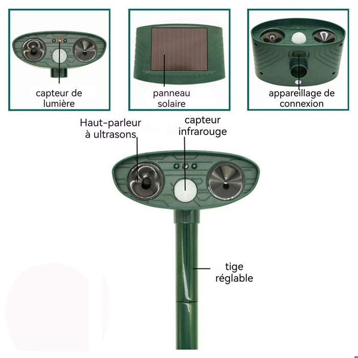 Répulsif Chat Répulsif Chat Extérieur Répulsif à Ultrasons Pour Jardin