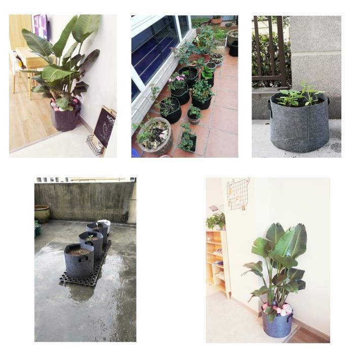 Sacs De Plantation Pommes De Terre 5 Pièces - 43L - Feutre Respirant Avec Fenêtre De Visualisation