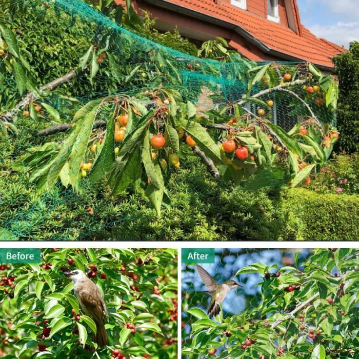 Filet d'étang anti-oiseaux Protection des plantes Potagers Fruits Jardin  Maille