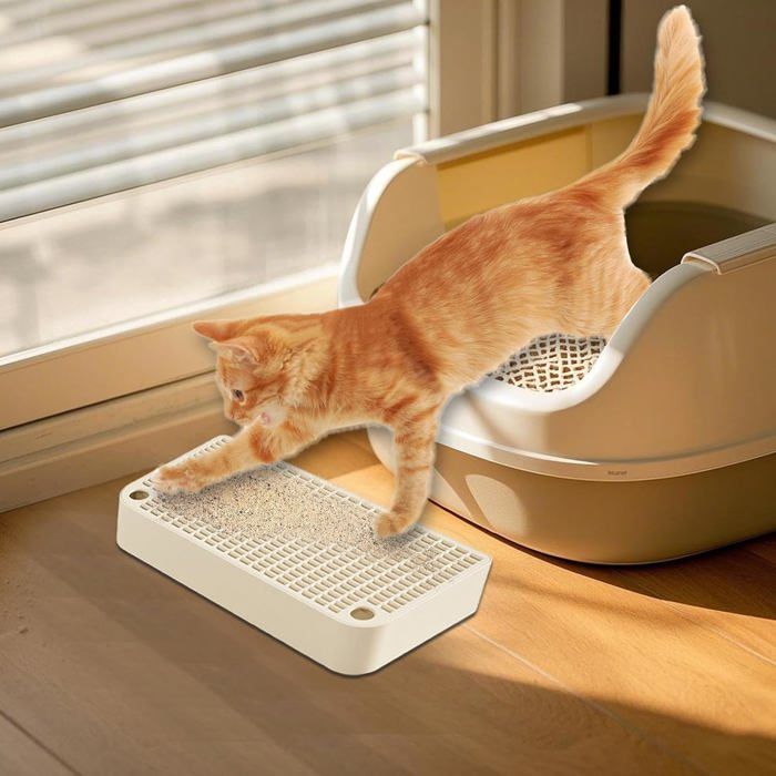 Rampe Pour Bac À Litière - Marche Pour Chat Âgé Avec Fonction