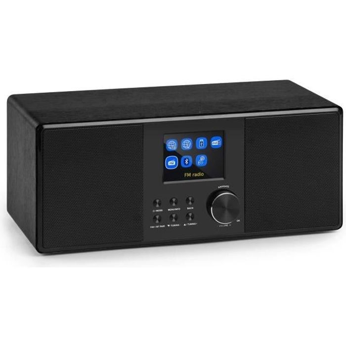 auna Connect 120 - Radio wifi internet avec tuner DAB+ et FM, châssis bassreflex, lecteur USB MP3 - noir