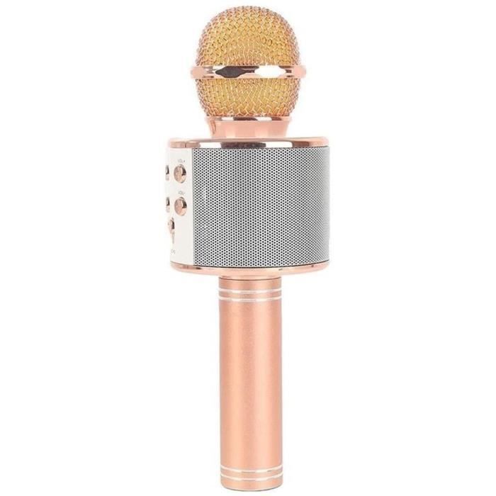Microphone à main professionnel sans fil UHF universel, avec récepteur