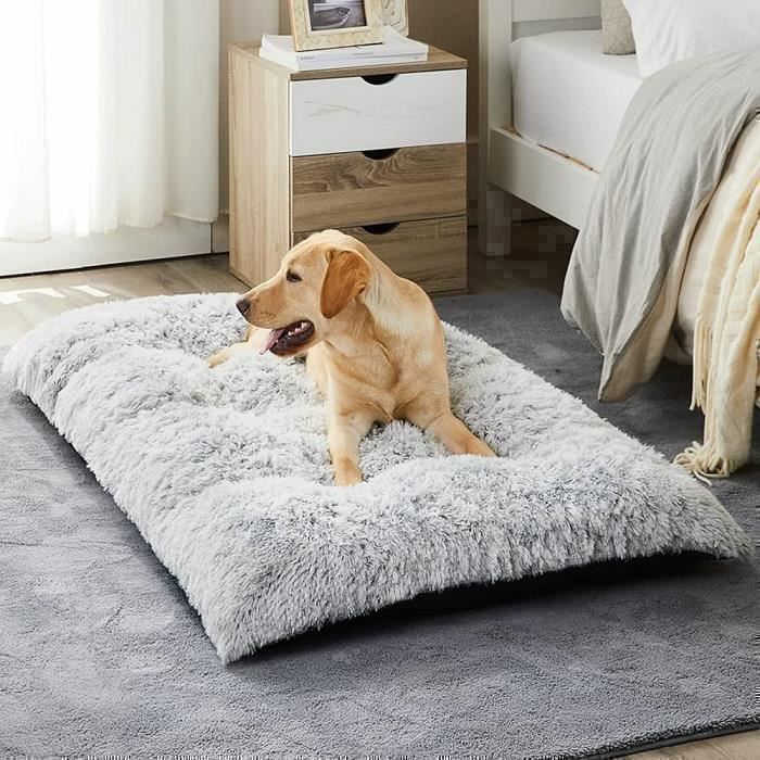 Lit Pour Chien, Panier Pour Chien Chaud En Peluche Lavable, Gris Clair, XXL (110x75cm)