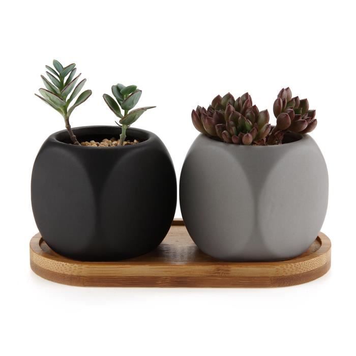 Rachel Choice 6.3CM Pots Petit de Plante en C/éramique Cactus Succulents Collection 1 Avec le Plateau