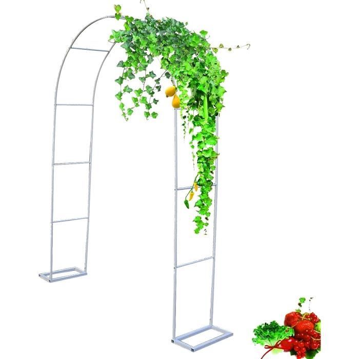 Arche Simple Arche à Fleurs Rosiers Tuteur Plantes De Jardin Passage En Metal Noir  3701102566131