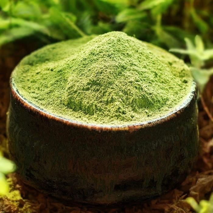Thé Matcha - Poudre de Thé Vert 100% BIO