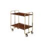 Table Roulante Pliante Chassis Dore Plateaux Loupe D Orme Achat
