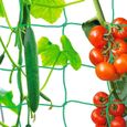Treillis Jardin Filet pour Plantes Grimpantes, Filets pour Jardin, Filet à Ramer pour Récolte de Concombres, Légume, Tomates (2*5m)-0