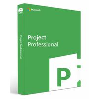 Project Professionnel 2019 - 1PC Windows 10