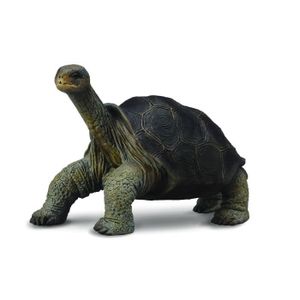 FIGURINE - PERSONNAGE Figurine - Collecta - Galápagos Tortue Géante - Pour Intérieur - 3 mois et plus
