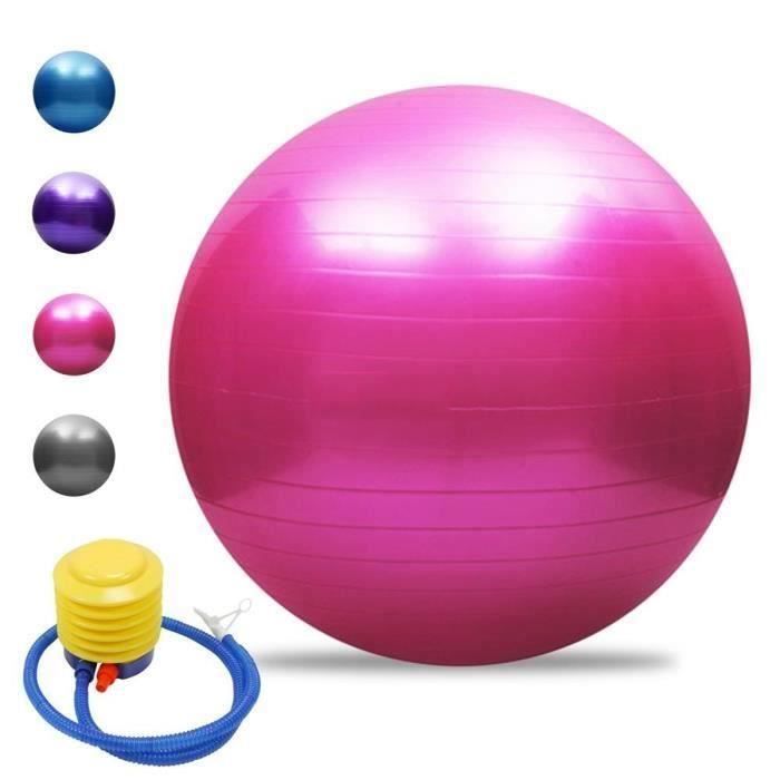 AA Ballon de Gymnastique Avec Pompe Anti-éclatement épaissie PVC Fitness Balance Ball Rose 65cm