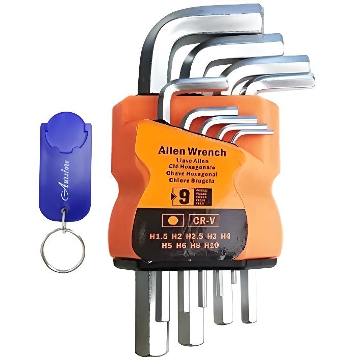 AURSTORE BASA Lot de 9 Clés Allen 1.5. 2,0. 2,5. 3,0. 4,0. 5,0. 6,0. 8,0. 10,0 mm, en clip plastique (Petit,hexagonal)+1 Porte Clé