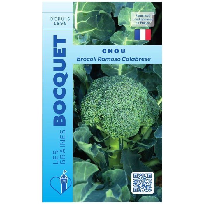 Graine - Semence - Chou Brocoli Ramoso Calabrese