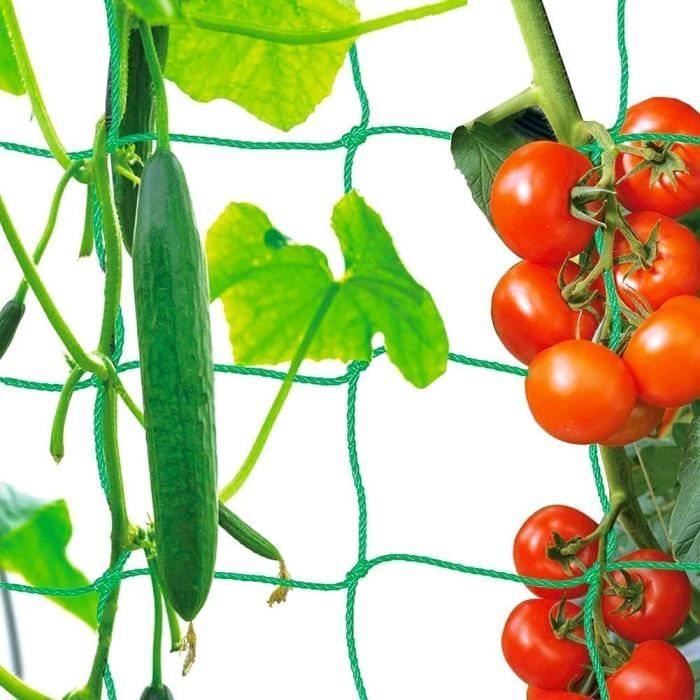 Treillis Jardin Filet pour Plantes Grimpantes, Filets pour Jardin, Filet à Ramer pour Récolte de Concombres, Légume, Tomates (2*5m)
