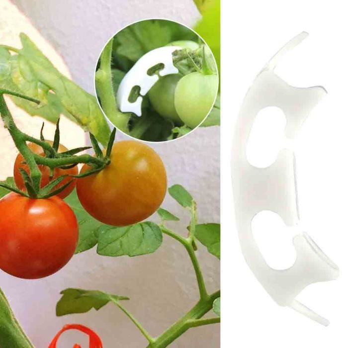 Clips de plantation de plantes de tomate Clips de plantation de plantes grimpantes, Clips anti-flexion de plantation de fruits 1.5