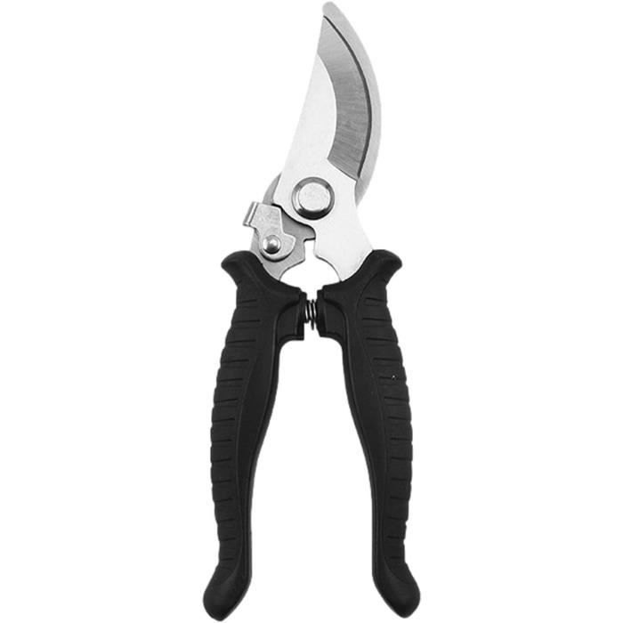 3 PièCes SéRies Lame De Rechange Pour SéCateur De Fruits Accessoires D'Outils éLectriques