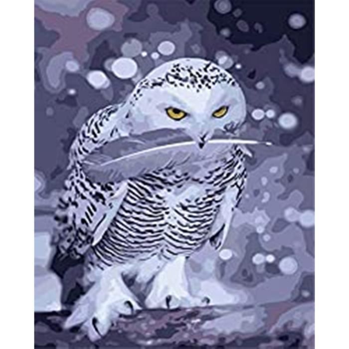 Hibou Peinture par Numero Adulte animal Peinture Numero Adulte, Paint by Numbers Acryliques Peintures Loisirs Créatifs Bricolage Encadré Peinture par Numero - Cadeaux et Décorations Murale 30x40cm P-6