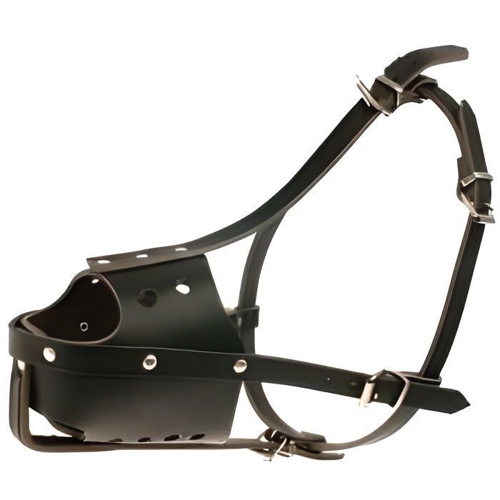 Zolux - Muselière en cuir pour chien type police noire Taille 4