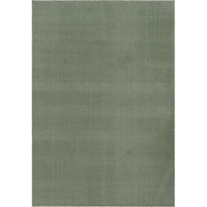 Grand Tapis de Salon ou chambre en vert 200x290, Tapis poil ras moderne et  doux, Rectangulaire