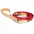 Red Leash XL -Collier en cuir réglable pour chien, ensemble de laisse pour petit, moyen et grand gabarit Teddy carlin Yorkie bouledo-0