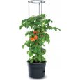 Pot pour pied de tomates 28L Tomato Grower IPOM400-S433-0
