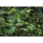 WALLARENA Papier Peint Intissé Forêt Jungle 312x219 cm Tropicales Monstera vert Nature Salon Photo Non Tissé Muraux Moderne Trompe l'oeil