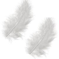 100 Plumes blanches 8 cm - 10 cm