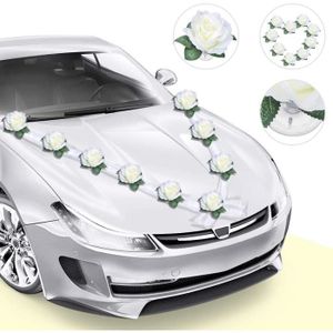 Kit de décoration de voiture de mariage Végétal - Dragées Anahita