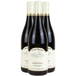 VIN ROUGE Marsannay La Montagne Rouge 2017 - Lot de 3x75cl - Domaine Olivier Guyot - Vin AOC Rouge de Bourgogne - Cépage Pinot Noir