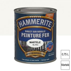 Peinture Portail Achat Vente Pas Cher