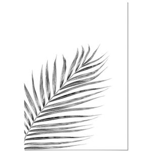 Poster feuille de palmier 70x100, Meubles & Déco