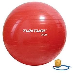 BALLON SUISSE-GYM BALL TUNTURI Ballon de gym - 75cm - Rouge
