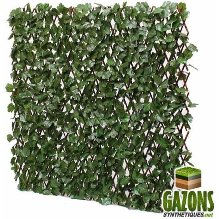 Treillis Extensible Feuilles de Lierre 1m x 2m